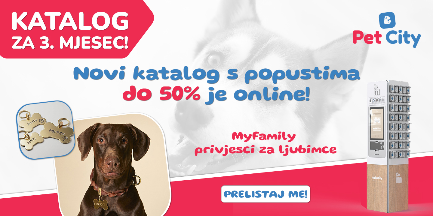 Pet discount city online